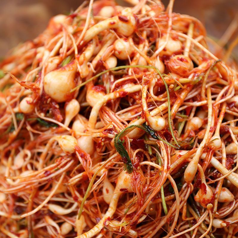 东北朝鲜族小根根蒜腌制韩式泡菜咸菜脑瓜菜小头腌制辣椒新鲜