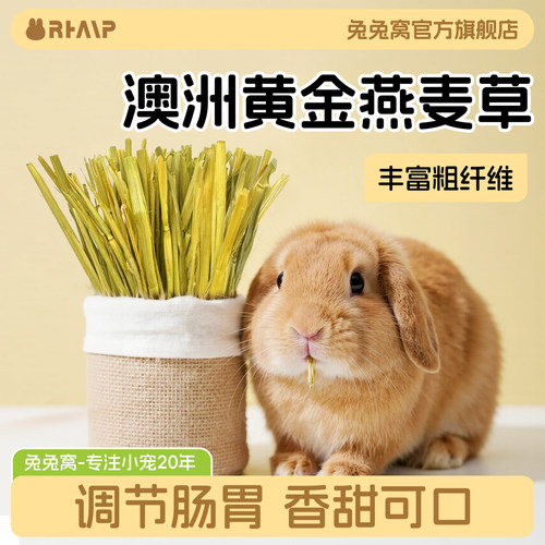 澳洲黄金燕麦草晒干精筛高纤
