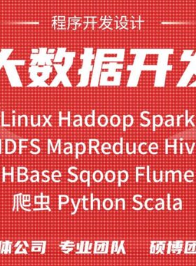 Hadoop大数据代做Spark开发Python程序Scala数据分析可视化大屏