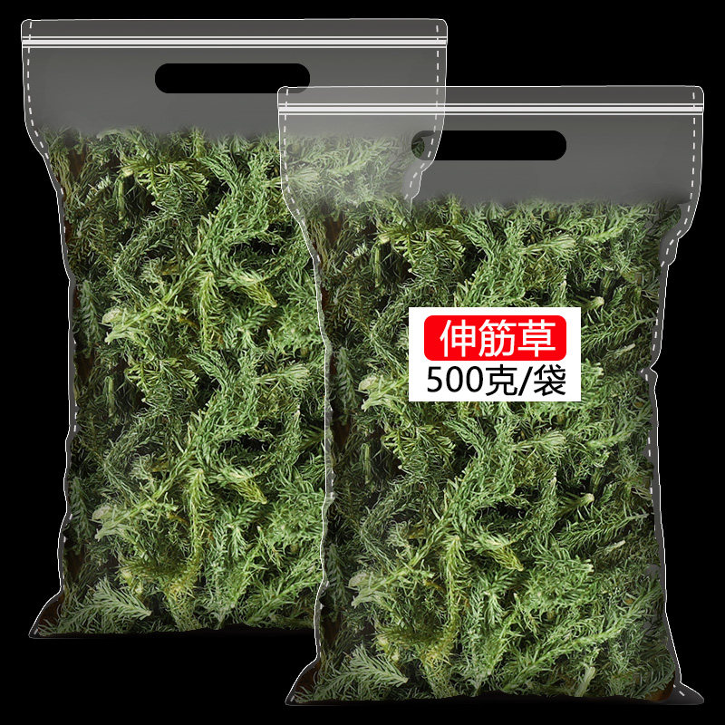正宗伸筋草中药材500g无熏硫无添加无染色正品伸筋草透骨草新货