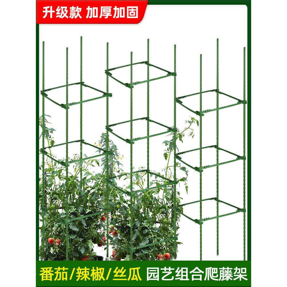 番茄架番茄阳台种植支架黄瓜豆攀爬凉棚玫瑰花支架植物固定架