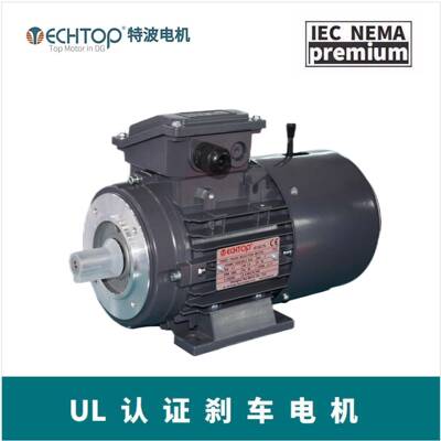 磨刷马达TECHTOPT3CRB90S-60.8W刹车电机UL/CSA出口认证