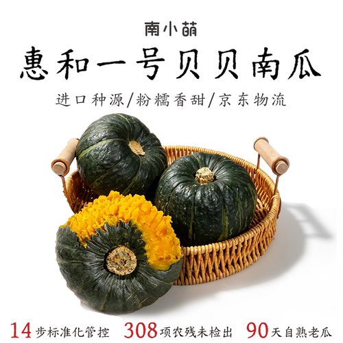 【惠和一号】南小萌惠和贝贝南瓜