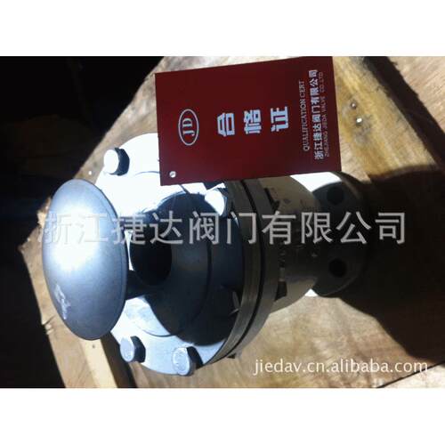 CARX不锈钢复合式排气阀