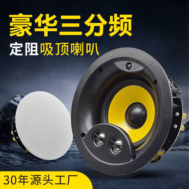 吸顶音响 高端豪华三分频吸顶喇叭 高保真天花板吊顶定阻音箱