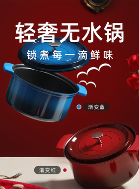 NORBERT.W微压珐瑯锅家用炖锅炖盅汤锅焖烧锅不沾锅电磁炉闷煮锅