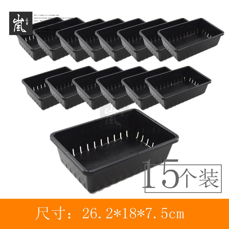 量贩装丨26cm叶插篮【15个装】多肉叶插 播种用篮子