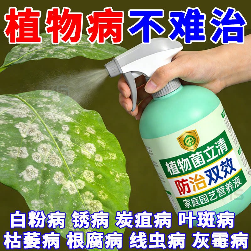 植物菌立清家用养花植物一扫病菌图片