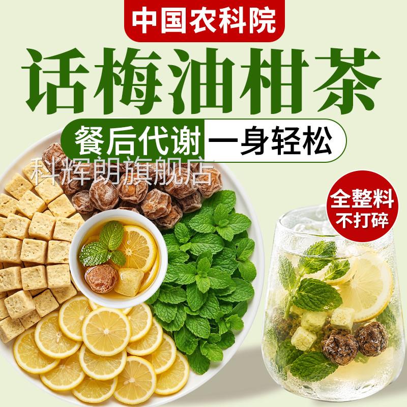 油柑薄荷话梅茶泡水饮品话梅油柑薄荷水茶适合果夏日冷泡喝的茶科