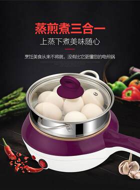 领锐多功能煮蛋器不锈钢蒸蛋羹煎鸡蛋器煎饼迷你炒菜锅插电不粘锅