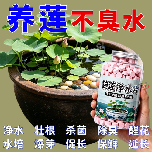 叶面黑烂叶增肥水培绿植园艺肥料