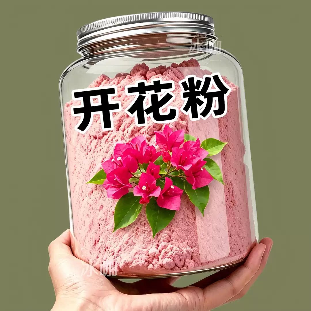 开花粉花卉开花粉三角梅茶花月季玫瑰花卉兰花栀子花促花叶面肥