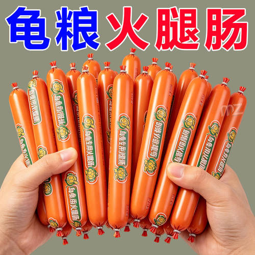 巴西龟小幼龟金钱鳄龟高钙龟食