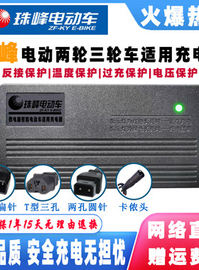 珠峰电动车电瓶充电器48V20AH60V40A72伏50AH80V96V108V32AH两孔