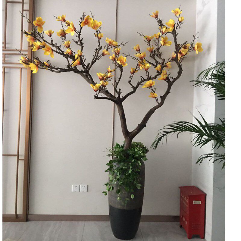 玉兰花树枯枝落地花瓶摆件客厅橱窗造景婚庆道具树干树枝花艺装饰