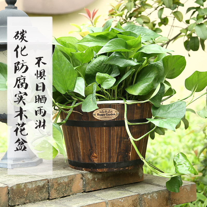 实木防腐性壁挂式装饰花桶挂壁木制花盆木质花篮花器垂吊兰式挂篮