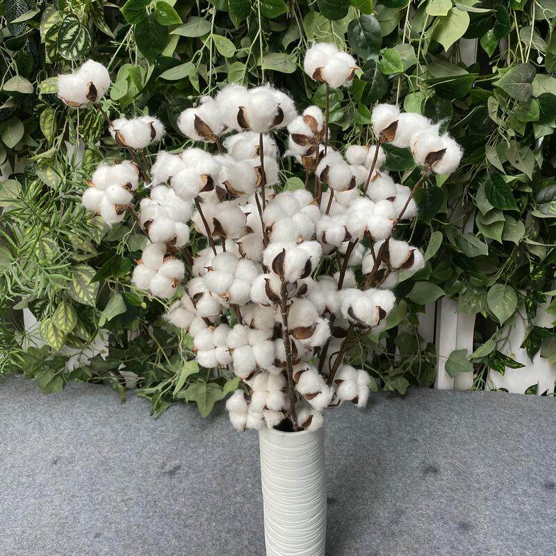 植物木棉棉花枝 DIY花束装饰道具 5头7头干花棉花 假花摄影道具
