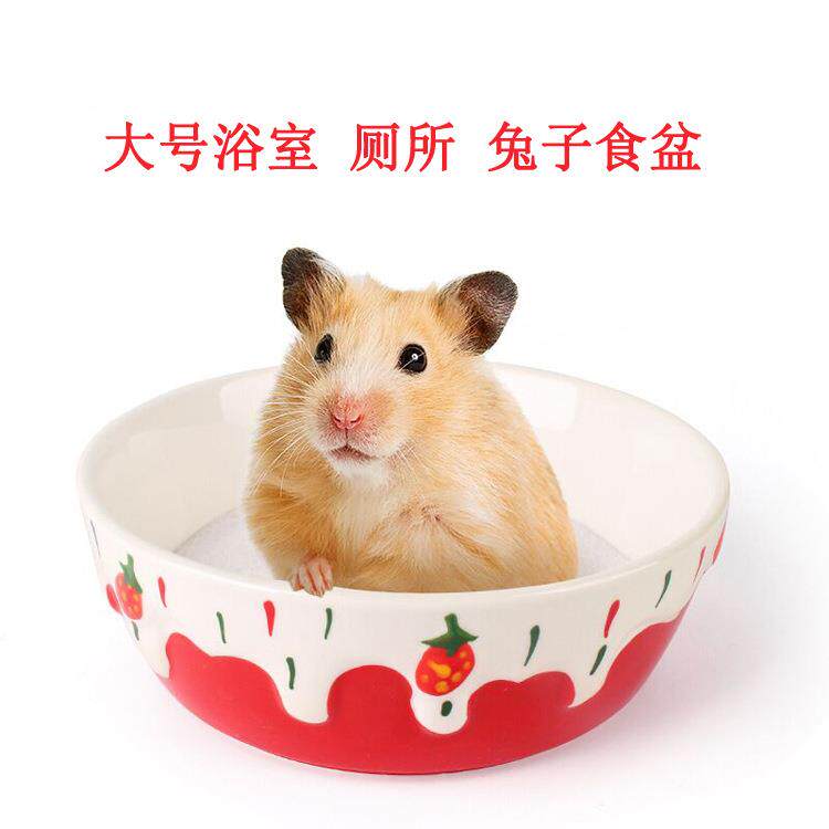 仓鼠食盆陶瓷碗厚重防翻草莓兔子碗浴室厕所两用金丝熊用品