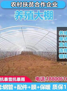 温室蔬菜大棚骨架钢管种植养殖家用西瓜草莓椭圆管棚定制配件全套