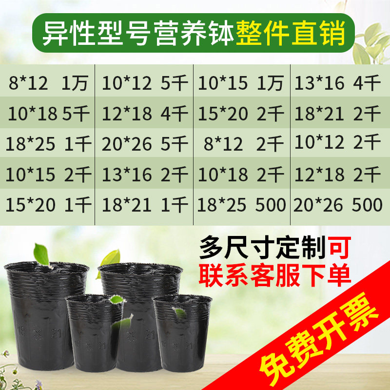 异型营养钵加高加厚苗木种植袋黑色塑料育苗盆异形营养杯育苗杯