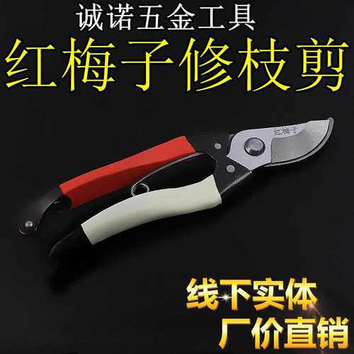 红梅子果枝剪园林修枝剪园艺剪刀树枝剪花枝剪民用家用剪刀园林剪