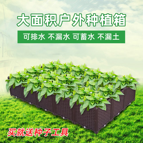 大面积种菜盆树盆 阳台种菜花盆 加深长方形蔬菜种植箱 菜园设备