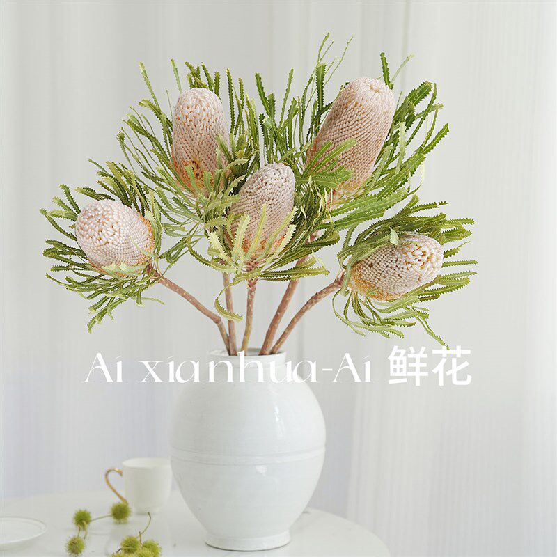 自然风可永久存放自然色班克木鲜花插花水养可直接干插做干花送花