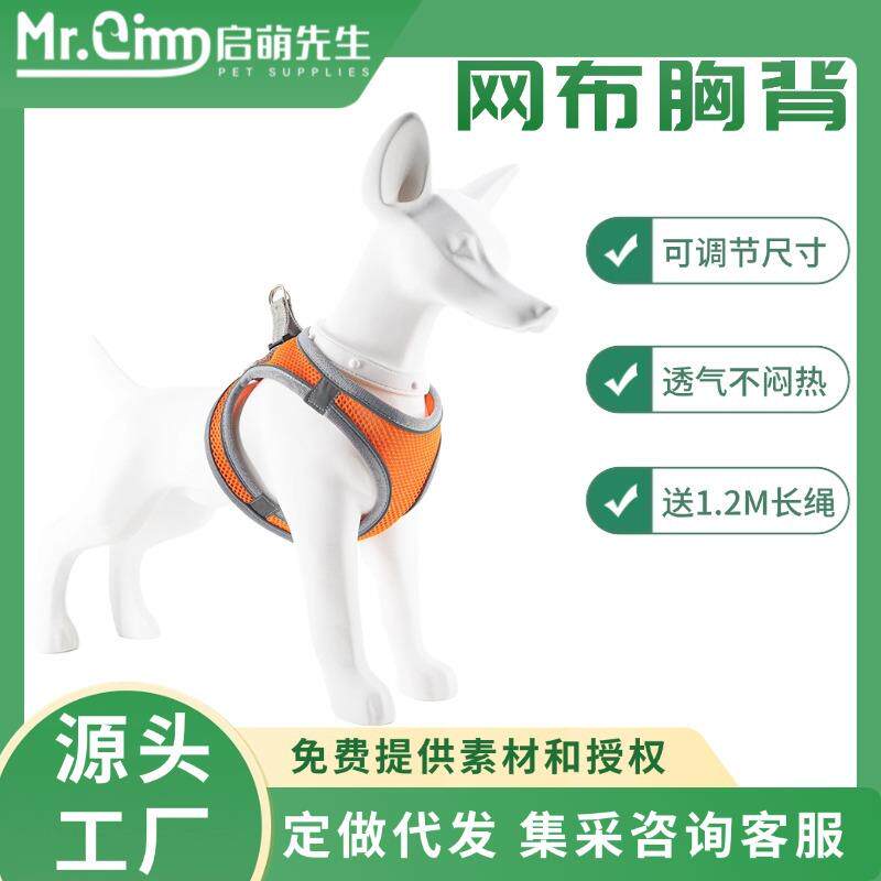 猫咪牵引绳小猫遛猫绳幼猫防挣脱猫链子宠物舒适材质背心式胸背带