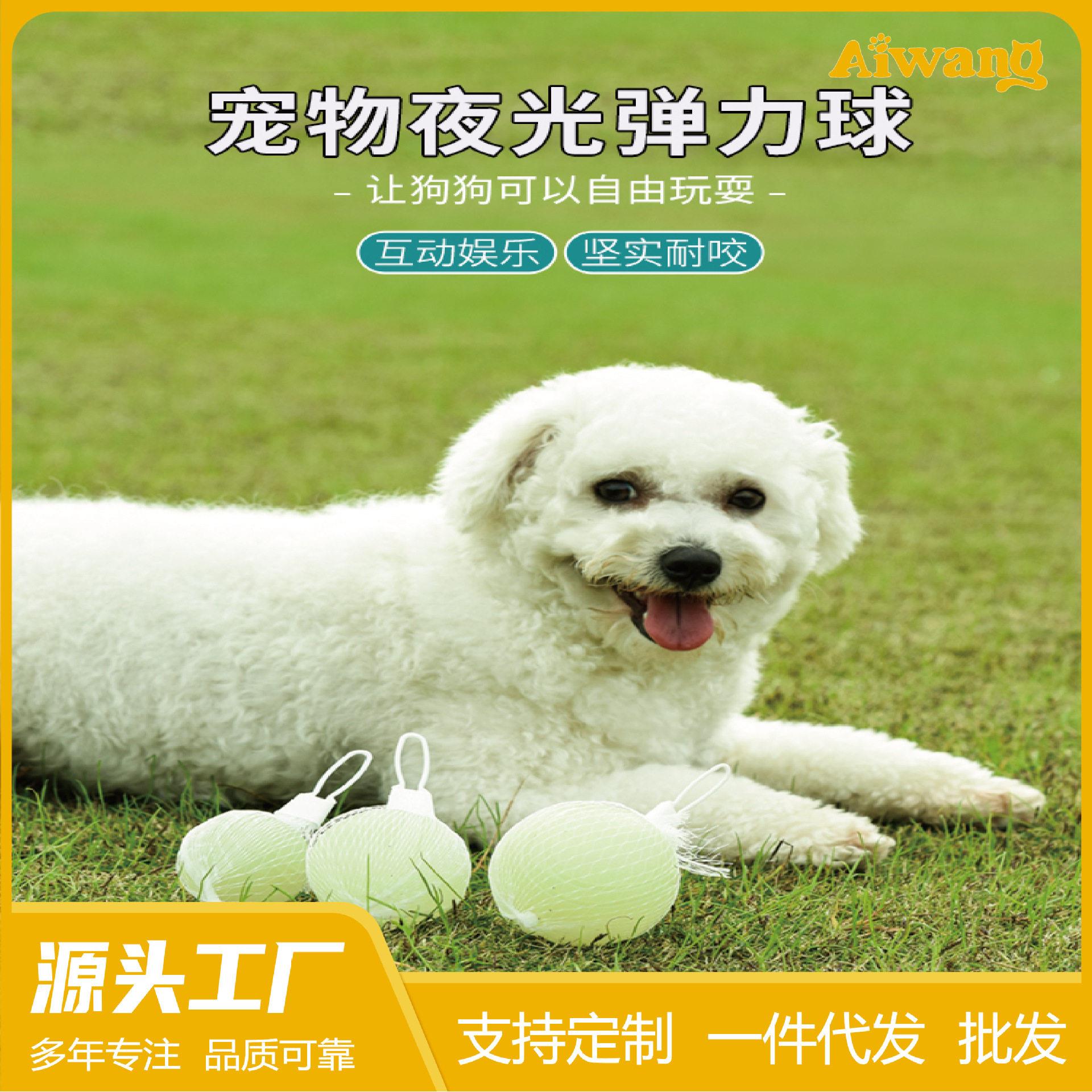 meianju宠物玩具球夜光球弹力耐啃咬玩具 训宠训狗工具狗狗玩具