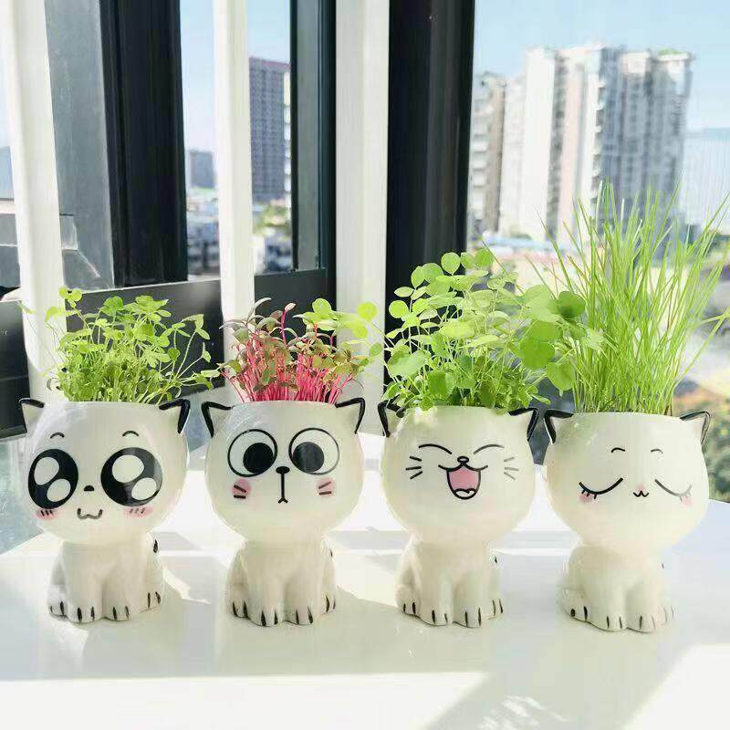 长草头娃娃陶瓷卡通猫卖萌表情猫工艺品植物盆栽公室小绿植