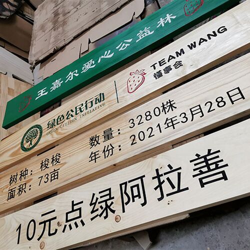 防腐木广告牌木牌匾乡村宣传栏雕刻木牌指示牌木质花草牌广告牌