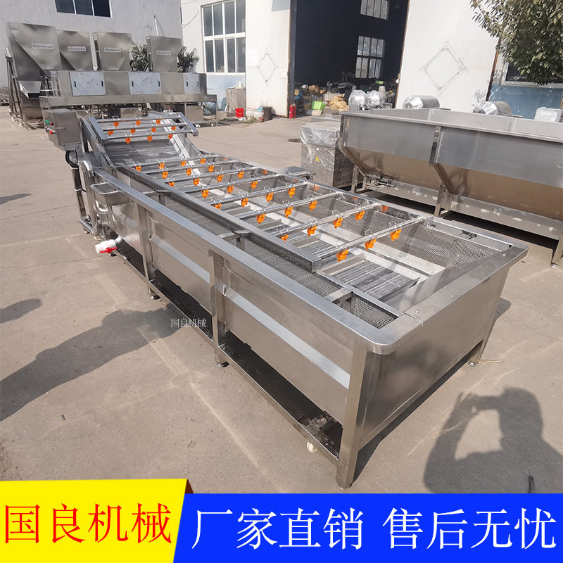 品质款洗菜机 商用不锈钢气泡清洗机 叶菜类果蔬清洗机
