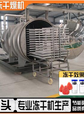 全自动杨梅冻干机商用果蔬食品茶叶真空冻干设备桃子柠檬冻干机