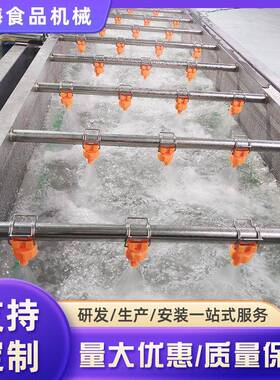 全自动奶白菜清洗机樱桃气泡清洗机喷淋式茼蒿油麦菜清洗设备