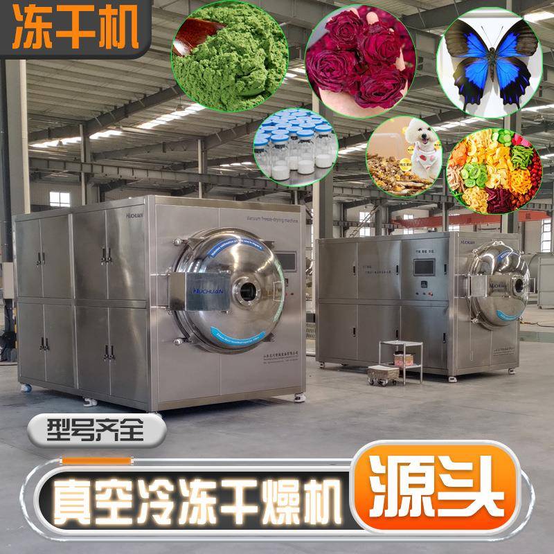 小型真空冻干机实验室科研食品冻干机械水果药材真空冷冻干燥设备
