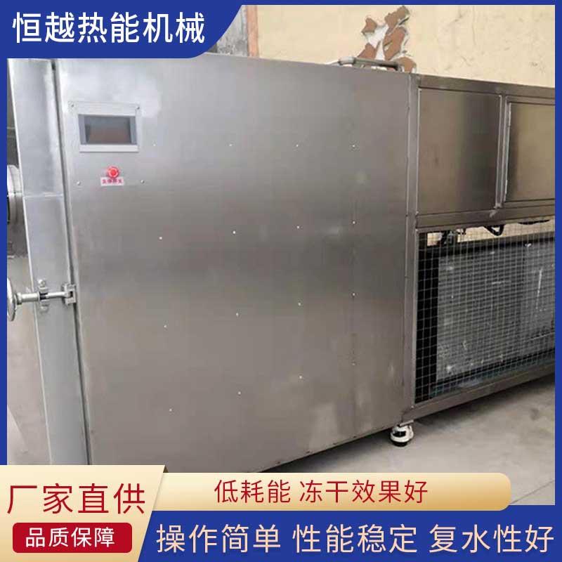 玫瑰花鲜花冻干机桑椹柠檬无花果果脯冻干设备保健品冻干设备