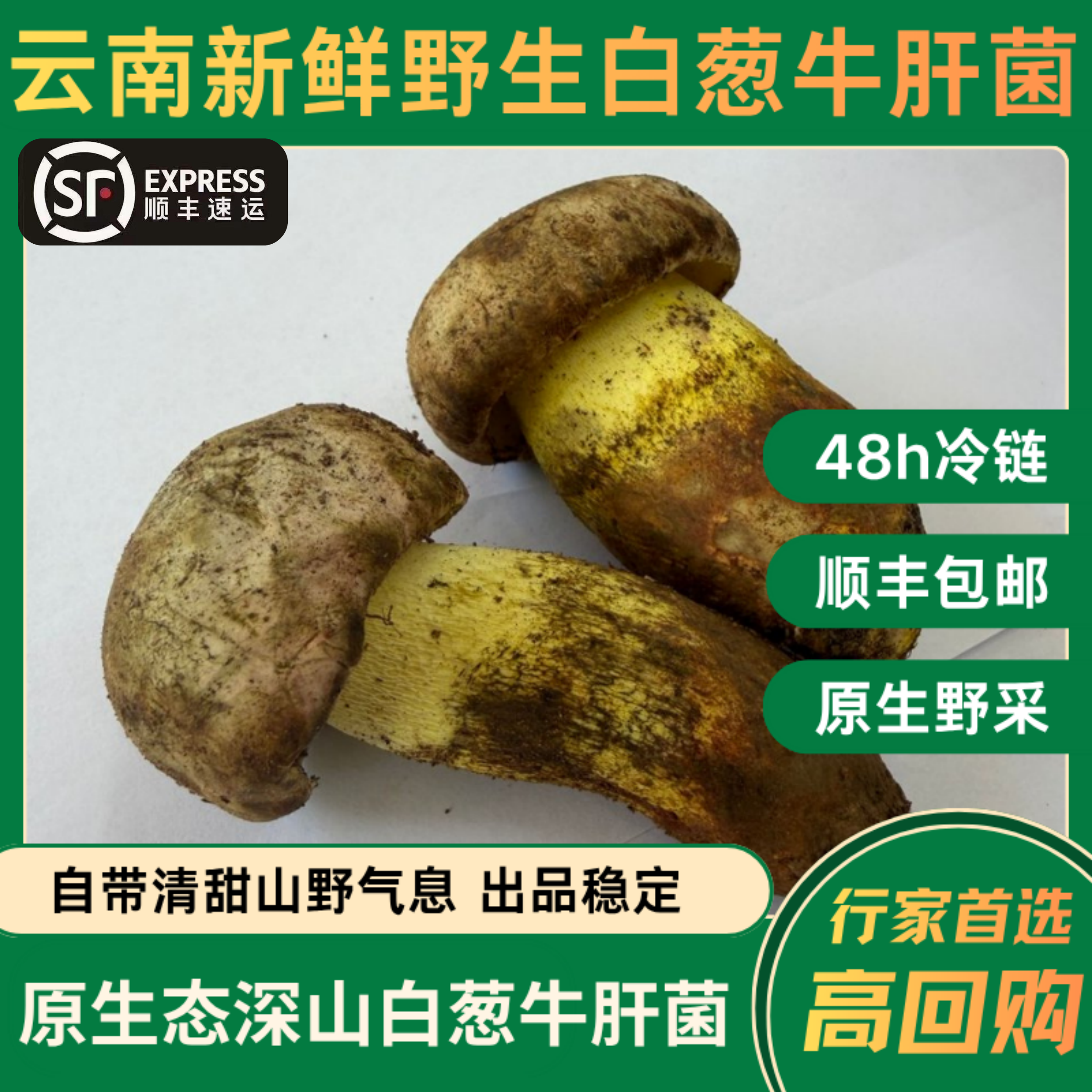 云南新鲜白葱牛肝菌顺丰包邮