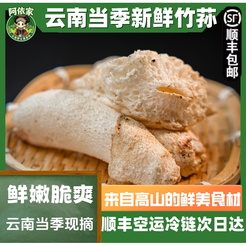 云南当季新鲜竹荪野生菌菇冷链运输顺丰包邮火锅食材云南特产嫩脆