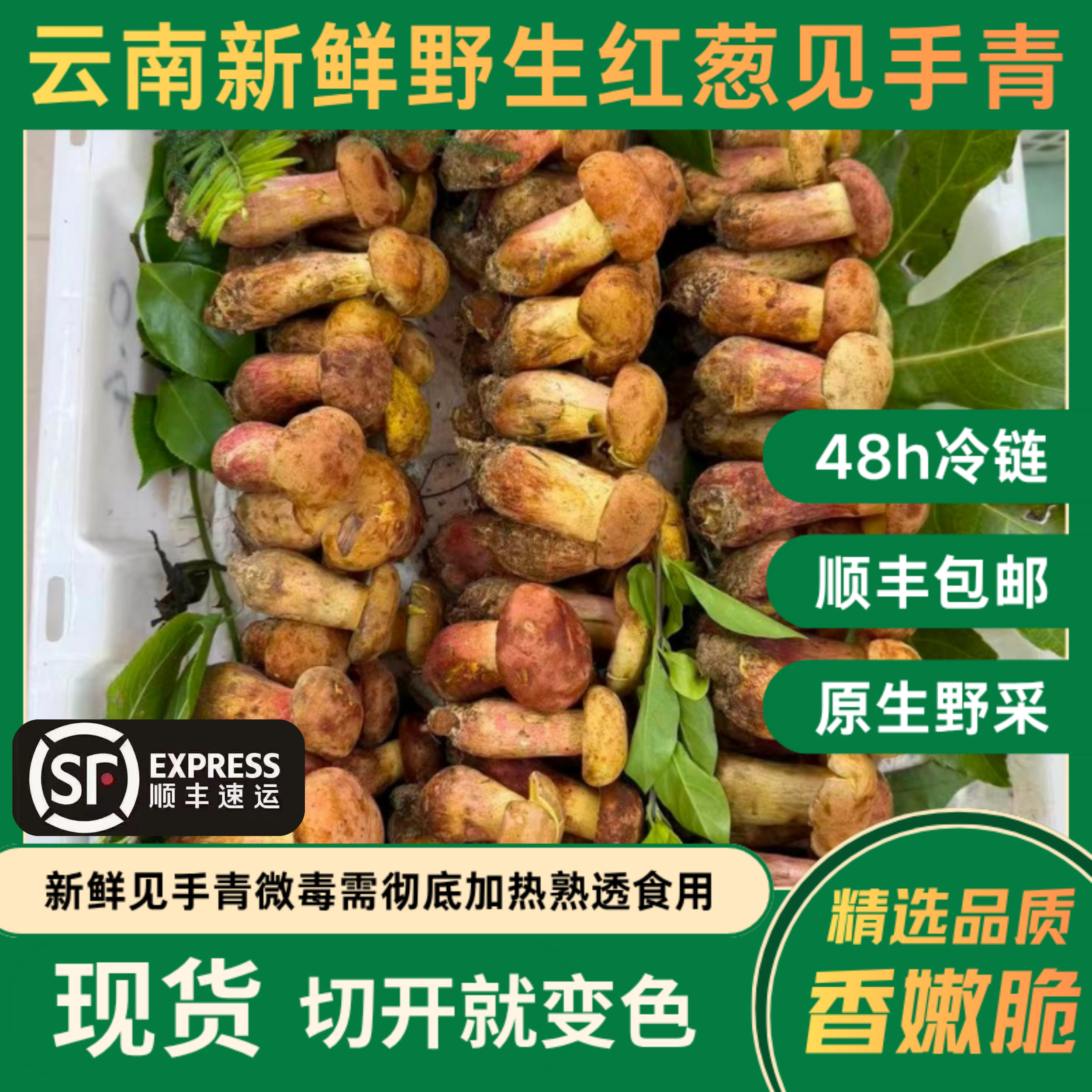 【云南野生菌】新鲜红葱见手青见小人菌菇煲汤爆炒食材顺丰包邮