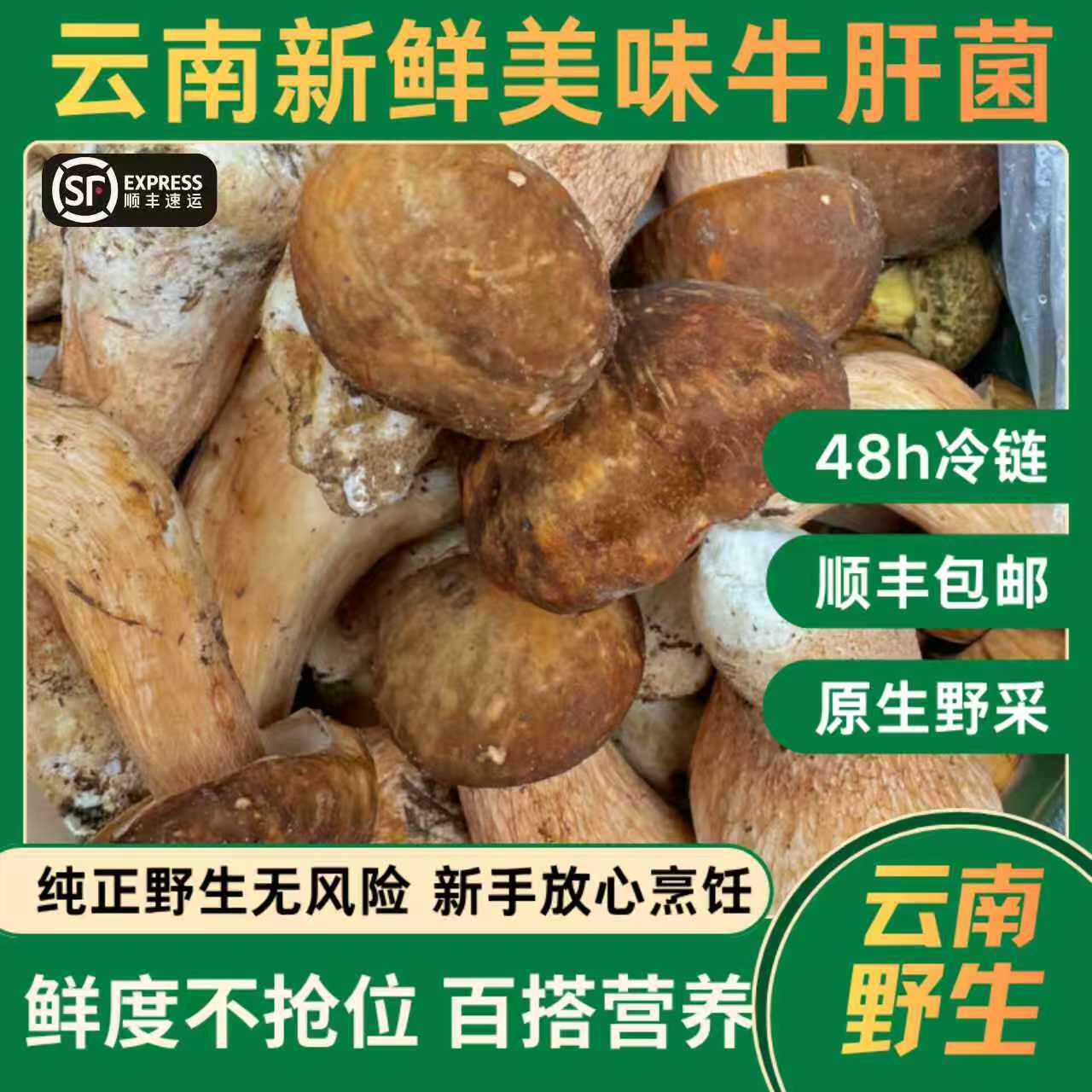 云南野生美味牛肝菌新鲜顺丰包邮