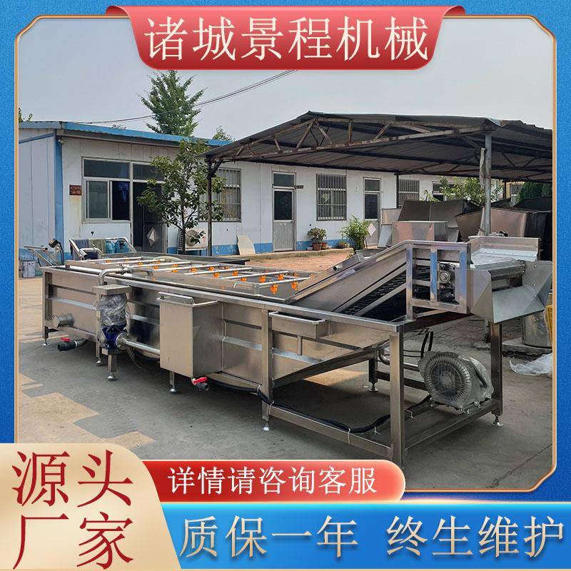 果蔬清洗净菜设备喷淋式草莓辣椒洗菜机小香葱韭菜清洗风干线