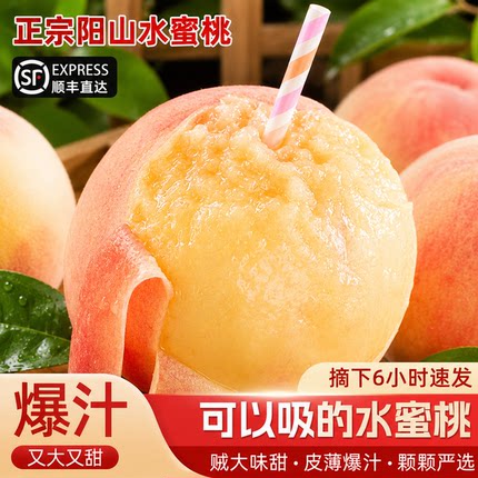 顺丰速发正宗无锡阳山水蜜桃子爆汁当季白凤湖景毛桃新鲜水果礼盒