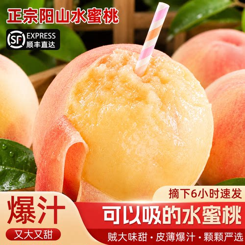 正宗无锡阳山水蜜桃当季新鲜水果