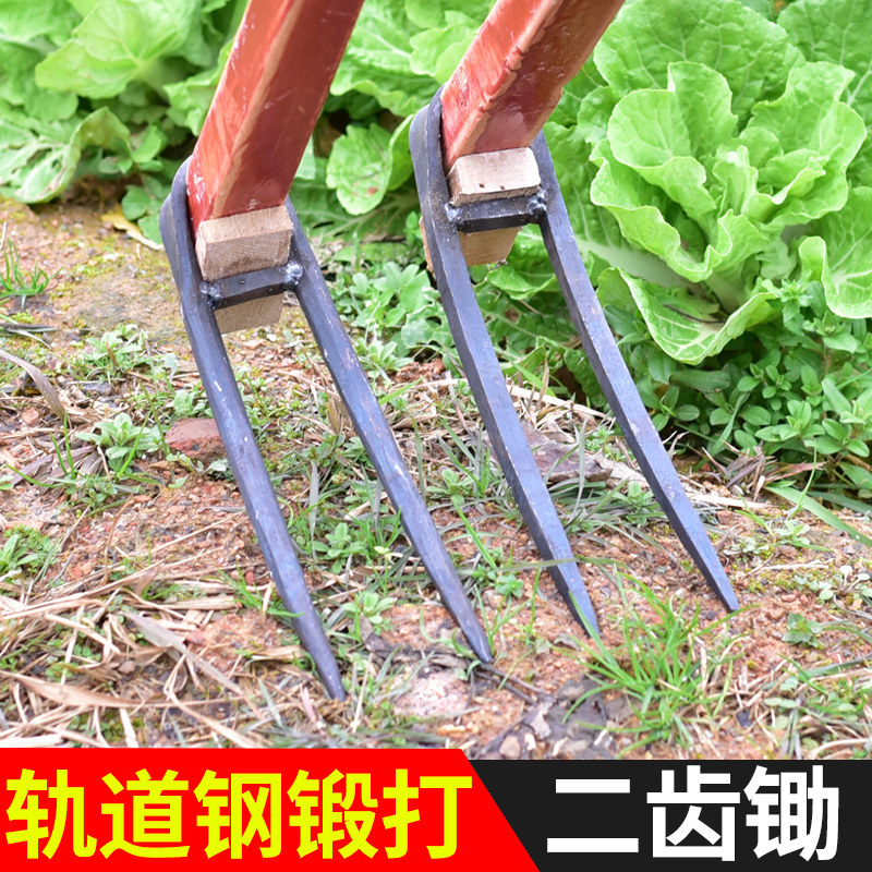 农用手工锻打锄头翻地松土工具种菜家用挖地多功能锰钢二齿锄耙子 - 实物图