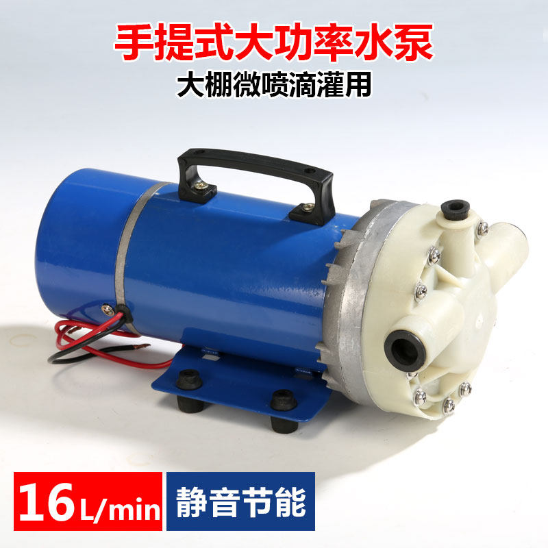 农用大棚电动喷雾器水泵园艺浇花浇灌抽水微喷花园大功率静音水泵