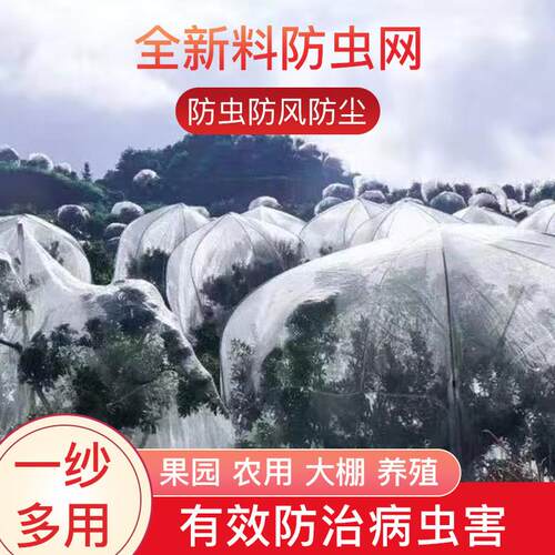 果树防虫网大棚杨梅樱桃防虫防鸟网罩多肉莲雾桃树罗幔农用防护罩