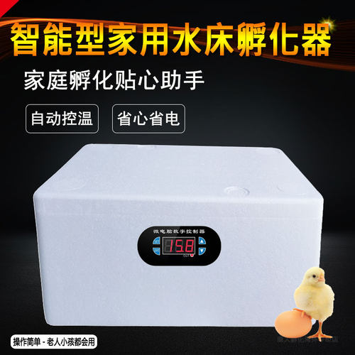 孵蛋器水床小鸡蛋芦丁孵化器小型机器家用全自动智能孵化箱孵化机