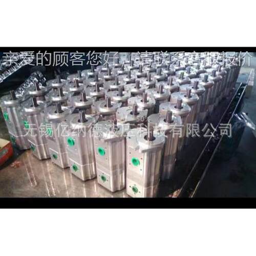 双联齿轮泵CBNL0-F550F/MAGA-102F520-B5PL,CBNL-F50/F51-BFPL