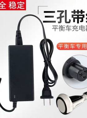 适用于豹行雷龙阿里郎平衡车充电器三孔头通用平横车平行车冲电器
