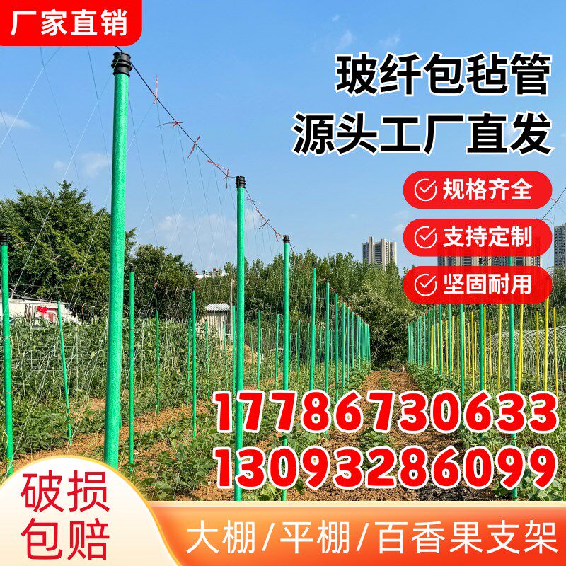 玻璃纤维包毡管百香果桔树果树立柱冬瓜蔬菜爬藤支架大棚骨架全套